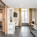Rent 2 bedroom apartment of 88 m² in Plzeň
