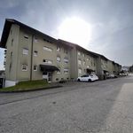 Rent 2 bedroom apartment in Strengelbach
