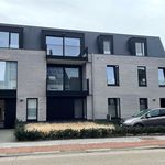 Appartement de 90 m² avec 2 chambre(s) en location à Oud-Turnhout