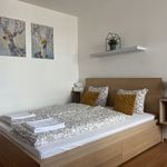 Rent 1 bedroom apartment of 34 m² in Ostrava