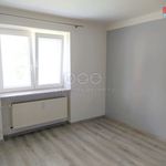 Rent 1 bedroom apartment of 22 m² in Dolní Benešov