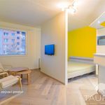 Rent 1 bedroom apartment of 313 m² in Plzeň