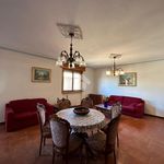 Affitto 5 camera casa di 140 m² in Parma