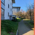 Rent 2 bedroom apartment of 52 m² in Zwickau