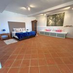 Rent 4 bedroom house of 517 m² in Gaucín