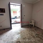 Rent 2 bedroom apartment of 70 m² in Altavilla Milicia