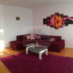Rent 3 bedroom apartment of 64 m² in Bełchatów