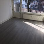 Rent 1 bedroom apartment of 65 m² in Tilburg