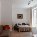 Rent 1 bedroom apartment of 54 m² in Roma