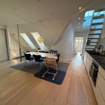 Rent 3 bedroom house of 102 m² in København