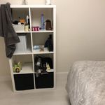 Rent 4 bedroom flat in Coventry