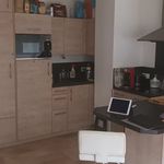 Rent 1 bedroom apartment of 40 m² in Tours