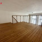 Rent 1 bedroom apartment of 41 m² in Brno