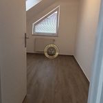 Rent 4 bedroom apartment of 80 m² in Zichovec