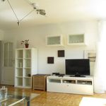 High quality furnished apartment