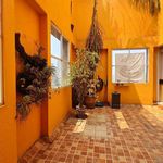 Rent 4 bedroom apartment of 270 m² in Jesús del Monte