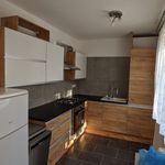 Rent 2 bedroom apartment of 52 m² in Teplice