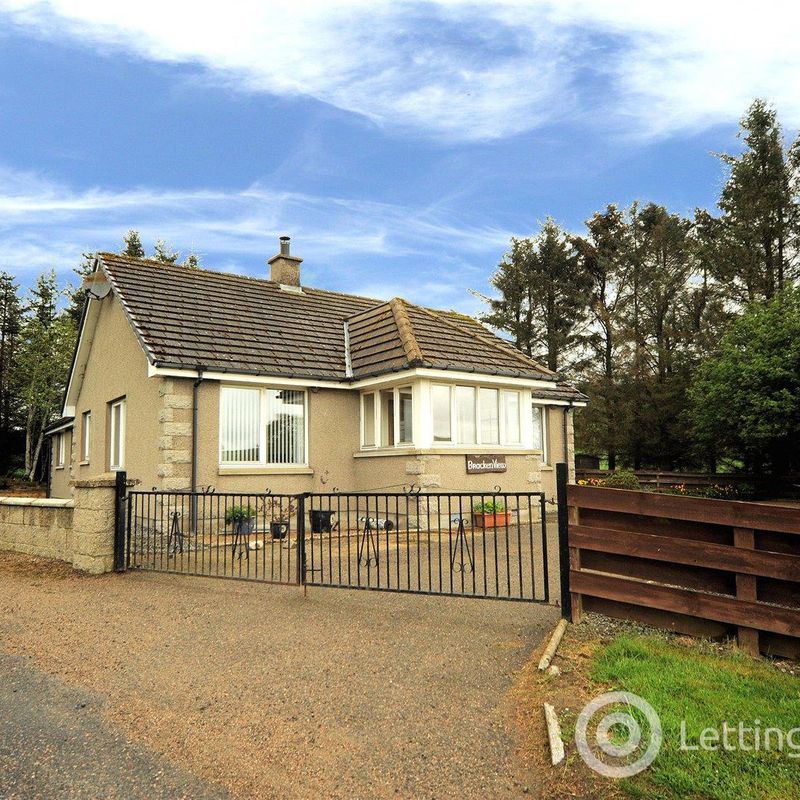 4 Bedroom Detached Bungalow to Rent  Brackenview, Muir of Fowlis, Alford, Aberdeenshire, AB33 St Margaret's at Cliffe