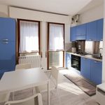 Rent 2 bedroom apartment of 48 m² in Padua