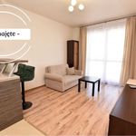 Rent 2 bedroom apartment of 31 m² in Toruń