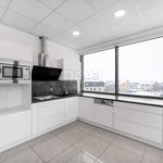 Rent 3 bedroom apartment of 100 m² in Lanškroun