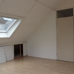 Kamer van 150 m² in Leidschendam