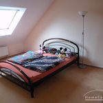 Miete 2 Schlafzimmer wohnung von 42 m² in Braunschweig