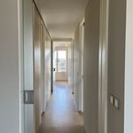 Miete 6 Schlafzimmer wohnung von 150 m² in Genève