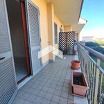 Rent 3 bedroom apartment of 109 m² in Somma Vesuviana