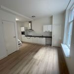 Huur 3 slaapkamer appartement van 45 m² in Haarlem