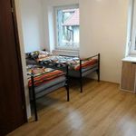 Rent 4 bedroom apartment of 75 m² in Działdowo