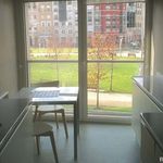 Rent 3 bedroom apartment of 155 m² in Bilbao