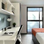 Rent 1 bedroom student apartment of 27 m² in Edinburgh
