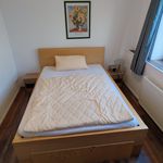 Miete 2 Schlafzimmer wohnung von 45 m² in Alsfeld