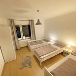 Rent 2 bedroom apartment of 55 m² in Bergheim