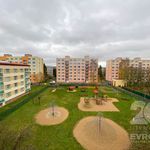 Rent 1 bedroom apartment of 42 m² in Dobruška
