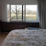 Huur 4 slaapkamer huis van 350 m² in Schilde