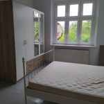 Rent 3 bedroom apartment of 74 m² in Legnica