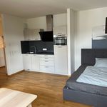 Rent 1 bedroom apartment of 36 m² in Ulm