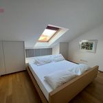 Rent 2 bedroom apartment of 54 m² in Trieste