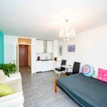 Rent 1 bedroom apartment of 26 m² in Bonn