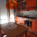 Rent 2 bedroom apartment of 45 m² in Argenta