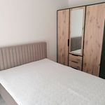 Rent 2 bedroom apartment of 38 m² in Zielona Góra