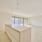 Rent 1 bedroom apartment in  Herselt