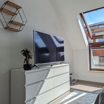 Rent 2 bedroom apartment of 57 m² in Leipzig