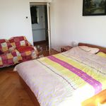 Rent 3 bedroom apartment of 71 m² in Rijeka