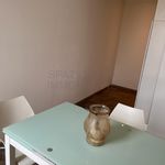 Affitto 1 camera appartamento di 40 m² in Padova
