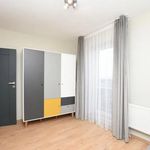Wynajmij 3 sypialnię apartament z 79 m² w Poznań