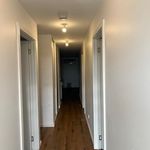 Rent 3 bedroom house in New Norfolk