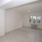 Rent 1 bedroom apartment of 34 m² in Mezibori